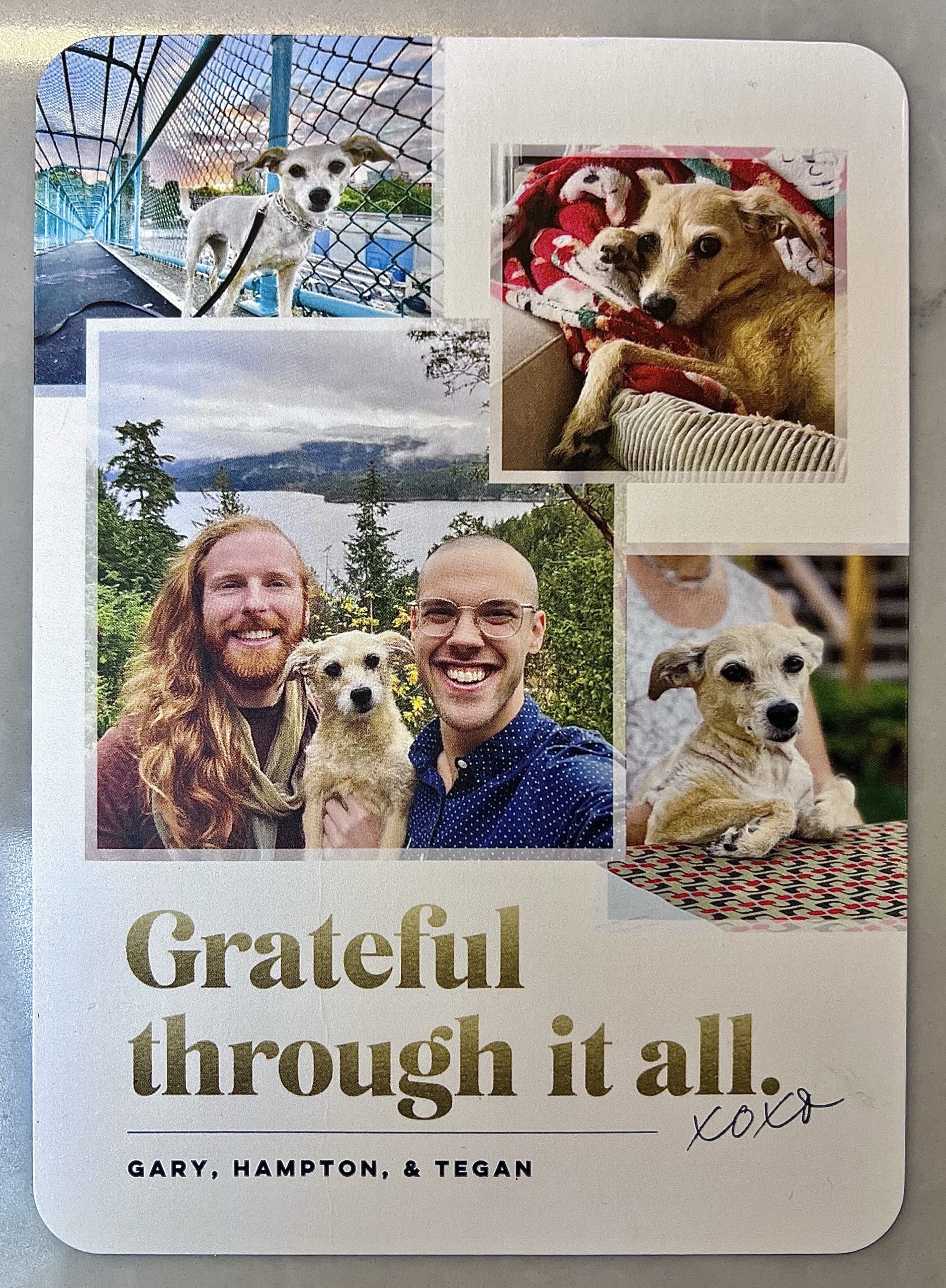 Front of card.
[Photos, clockwise from top left: Tegan, standing on the Militant Mothers of Raymur bridge, in front of a sunset; Tegan, in her bed, paws near her face looking coquettish; Tegan, paws bent backwards at the wrists, in our backyard; Hampton, Tegan, and Gary, smiling in front of a Sunshine Coast ocean fjord.]
Grateful through it all. Gary, Hampton, & Tegan.